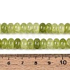 Glass Beads Strands GLAA-N059-5x8mm-05-4