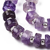 Natural Amethyst Beads Strands G-N327-07C-3