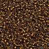 TOHO Round Seed Beads SEED-JPTR11-1853-2