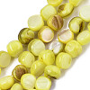 Natural Freshwater Shell Beads Strands SHEL-S276-110A-M-3