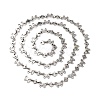 304 Stainless Steel Butterfly Link Chains CHS-S012-10P-2