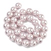 Electroplated Shell Pearl Beads Strands BSHE-G041-12mm-06-4