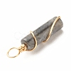 Natural Larvikite Pendants PALLOY-JF01453-05-5