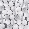 FGB Grade A Drawbench Style Glass Seed Beads SEED-Q040-10MM-24-3