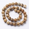 Natural Gemstone Beads Strands GSR10mmC016-3