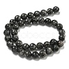 Natural Larvikite Beads Strands G-E571-A09-03-3