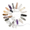 Natural Rose Quartz & Quartz Crystal & Tiger Eye & Labradorite & Black Agate & Red Jasper Beads Strands G-H247-06B-9