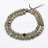 Natural Labradorite Beads Strands G-P322-33-8mm-2