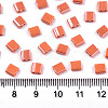 FGB 2-Hole Glass Seed Beads SEED-S031-L-ST130-2