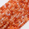 Natural Carnelian Beads Strands G-N0006-6mm-17-3