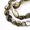 Natural White Shell Beads Strands SHEL-N036-21A-3