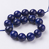 Natural Lapis Lazuli Beads Strands G-G087-12mm-2