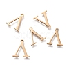 304 Stainless Steel Charms STAS-L263-10G-1