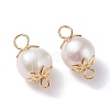 Natural Cultured Freshwater Pearl Beads Links Connectors PALLOY-JF01260-2