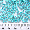 12/0 Baking Paint Glass Round Seed Beads SEED-S036-01A-13-3