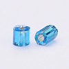 Two Cut Glass Seed Beads CSDB23B-2