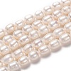 Natural Cultured Freshwater Pearl Beads Strands PEAR-L033-83-1