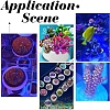 24Pcs 2 Style Porcelain Coralline Coral Frag Tiles AJEW-CA0003-37-6