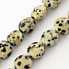 Natural Dalmation Jasper Bead Strands X-G-R189-14-1