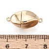 6Pcs Iron Screw Clasps IFIN-T021-02G-4