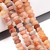 Natural Weathered Agate Beads Strands G-N357-13A-04-1