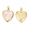 Natural Shell Pendants KK-I689-03G-2