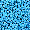 Baking Paint Glass Seed Beads SEED-S001-K10-2