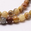 Natural Crazy Lace Agate Beads Strands G-D840-70-4mm-3