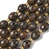Natural Bronzite Beads Strands G-F809-A07-01-2