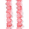 Transparent Glass Enamel Beads Strands GLAA-B021-05H-1