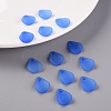 Transparent Frosted Acrylic Pendants MACR-S371-09A-751-6
