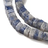 Natural Blue Spot Jasper Beads Strands G-N342-82-4