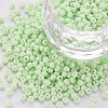 8/0 Opaque Glass Seed Beads SEED-S048-N-009-1