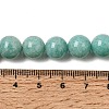 Natural Amazonite Bead Strands G-P204-02-10mm-6