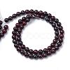 Natural Bloodstone Beads Strands G-R412-06-8mm-2