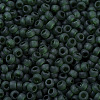 MIYUKI Round Rocailles Beads X-SEED-G007-RR0156F-3