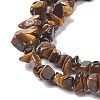 Natural Tiger Eye Chips Beads Strands LS-F012-2-3