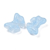 Transparent Glass Beads DGLA-E004-10G-2