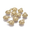 Alloy Pendants TIBEP-A040-041G-NR-1