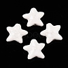 Handmade Porcelain Beads PORC-N008-03F-1