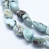 Natural Larimar Bead Strands G-E483-47-3