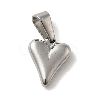 Non-Tarnish 304 Stainless Steel Charms STAS-B053-12P-1