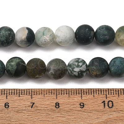 Natural Tree Agate Beads Strands X-G-T106-038-1