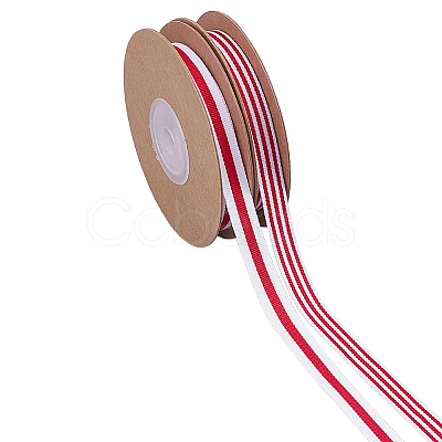 2 Rolls 2 Styles Polyester Striped Ribbon OCOR-ME0001-98-1