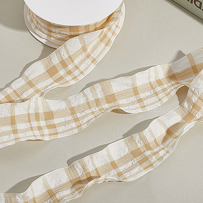 1 Roll Polyester Ruffled Ribbon SRIB-CY0001-14E-1
