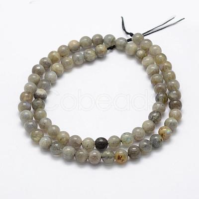 Natural Labradorite Beads Strands G-P322-33-8mm-1