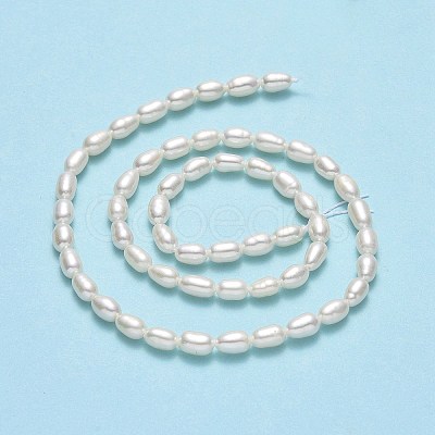 Natural Cultured Freshwater Pearl Beads Strands PEAR-J006-10B-01-1