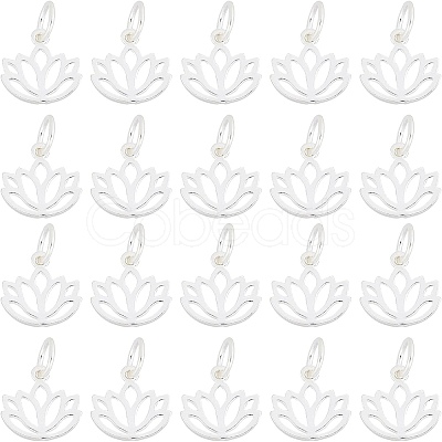 20Pcs 925 Sterling Silver Charms STER-CA0001-10-1