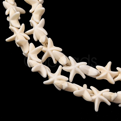 Synthetic Turquoise Dyed Beads Strands G-B184-C01-01-1