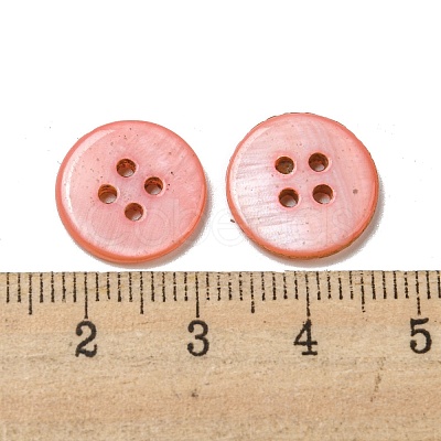 Freshwater Shell Buttons SHEL-C005-02D-1